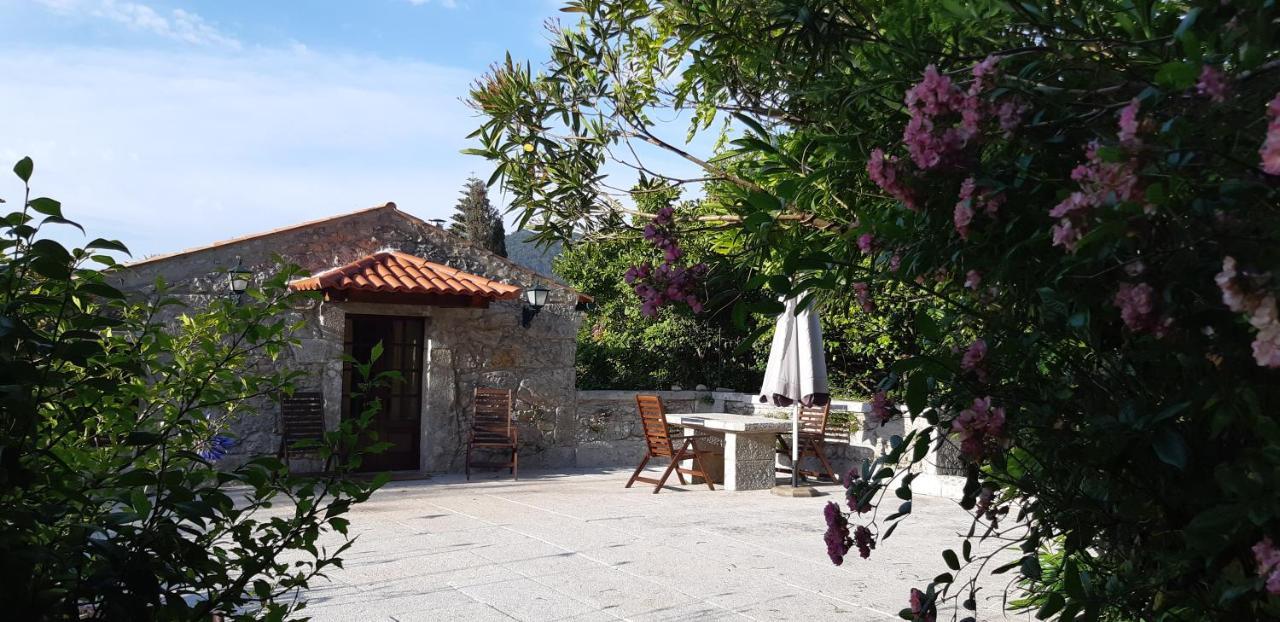 Villa Casa Do General à Afife Extérieur photo